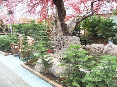 ����ľ�R��ڴ������B(t��i)�͏d